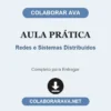 Aula Prática de Redes e Sistemas Distribuídos pronto para entregar