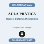Aula Prática Redes e Sistemas Distribuídos