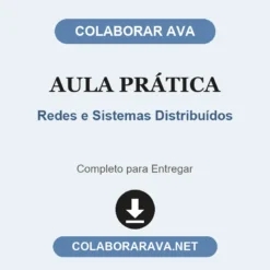 Aula Prática de Redes e Sistemas Distribuídos pronto para entregar