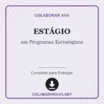 Estágio Supervisionado em Programas Estratégicos