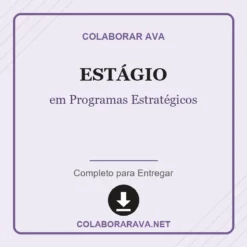 Estágio de em Programas Estratégicos pronto para download
