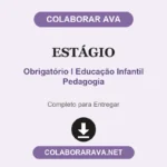 Estágio Curricular Obrigatório I Educação Infantil Pedagogia