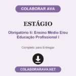 Portifólio Individual - Estágio Curricular Obrigatório Ii: Ensino Médio E/ou Educação Profissional I