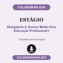 Estágio de Obrigatório Ii: Ensino Médio E/ou Educação Profissional I pronto para entregar