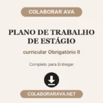 Plano de Trabalho de Estágio curricular Obrigatório II