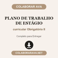 Plano de Trabalho de Estágio de curricular Obrigatório II pronto para entregar