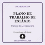 PLANO DE TRABALHO DE ESTÁGIO CURSOS DE LICENCIATURA