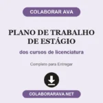Plano de Trabalho de Estagio dos cursos de licenciatura