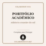 relatorio cruzeiro do sul