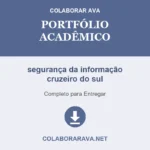 segurança da informação cruzeiro do sul