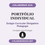 Portfólio Individual Estágio Curricular Obrigatório Pedagogia