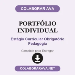 Portfólio Individual de Estágio Curricular Obrigatório Pedagogia pronto para entregar