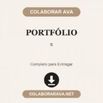 3 portfólios