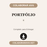 2 portfolios