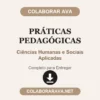 Práticas Pedagógicas de Ciências Humanas e Sociais Aplicadas pronto para entregar