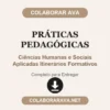 Práticas Pedagógicas de Ciências Humanas e Sociais Aplicadas Itinerários Formativos pronto para entregar