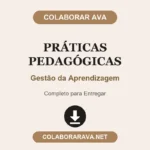 Portfólio Individual Praticas Pedagógicas Gestão da Aprendizagem