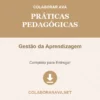 Práticas Pedagógicas de Gestão da Aprendizagem pronto para download