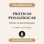 Práticas Pedagógicas Gestão da Aprendizagem