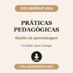 Práticas pedagógicas – Gestão da aprendizagem