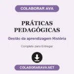 Práticas Pedagógicas Gestão da aprendizagem História