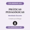Práticas Pedagógicas de Identidade Docente pronto para entregar