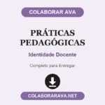 Portfólio Individual Práticas Pedagógicas Identidade Docente