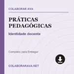 Práticas Pedagógicas Identidade docente