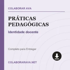 Práticas Pedagógicas de Identidade docente pronto para download
