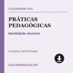 Práticas Pedagógicas Identidade docente