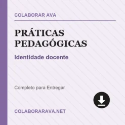 Práticas Pedagógicas de Identidade docente pronto para download