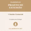 Projeto de Extensão de 1 Gestão Comercial pronto para download
