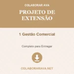 Portfólio Individual Projeto de extensão 1 Gestão Comercial