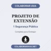 Projeto de Extensão de 1 Segurança Pública pronto para download
