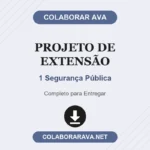 Projeto de Extensão 1 Segurança Pública