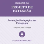 Portfolio Individual - Projeto de Extensão - Formação Pedagógica em Pedagogia