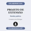 Projeto de Extensão de Gestão publica pronto para entregar