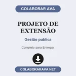 Projeto de Extensão Gestão publica
