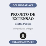 Portfólio Individual - Projeto de Extensão – Gestão Pública