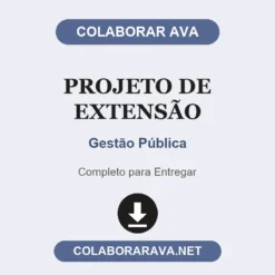 Projeto de Extensão de Gestão Pública pronto para entregar