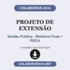 Projeto de Extensão de Gestão Publica - Relatório Final + PDCA pronto para entregar
