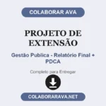 Projeto de Extensão Gestão Publica - Relatório Final + PDCA