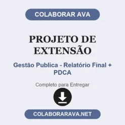 Projeto de Extensão de Gestão Publica - Relatório Final + PDCA pronto para entregar