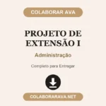 Portfolio Individual Projeto de Extensão I Administração