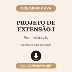 Projeto de Extensão I de Administração pronto para download