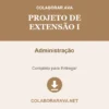 Projeto de Extensão I de Administração pronto para download
