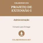 Projeto de Extensão I Administração