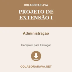 Projeto de Extensão I de Administração pronto para download