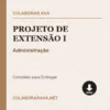 Projeto de Extensão I de Administração pronto para download