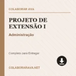 Portfolio Individual Projeto de Extensão I Administração
